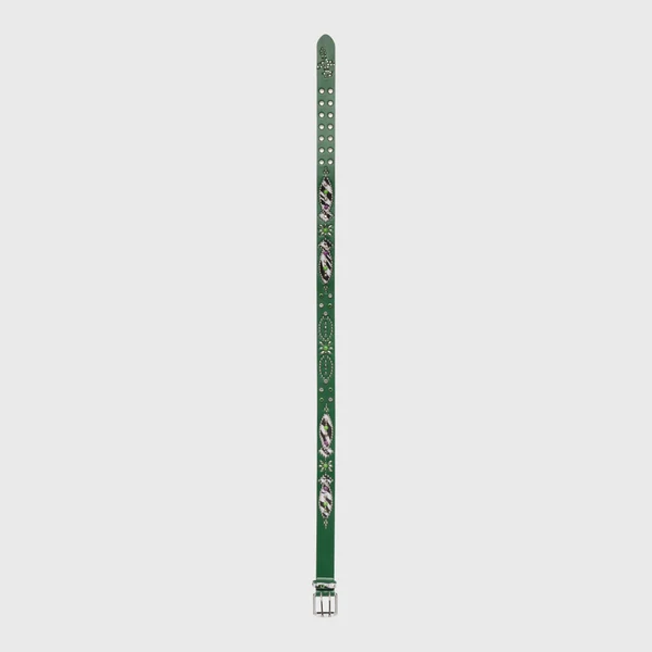 Passport Belt Green - Image 3